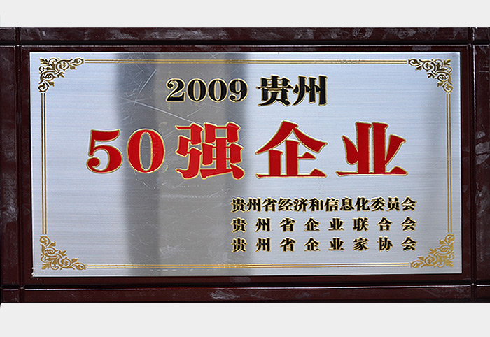 贵州省50强(2009)