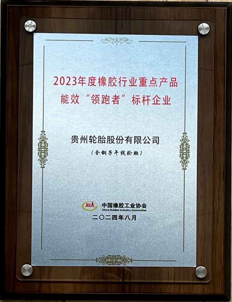 2023年度橡胶行业重点产品能效“领跑者”标杆企业（全钢子午线轮胎）